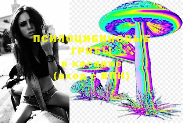 PSILOCYBIN Армянск