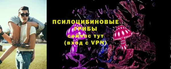 амф Арсеньев