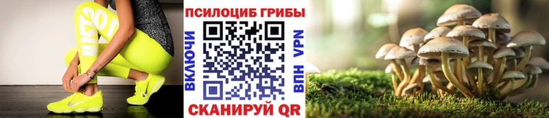 Галлюциногенные грибы MAGIC MUSHROOMS  Пудож 